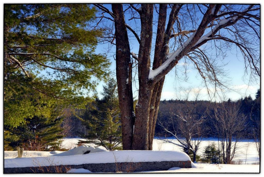 Pleasant Mountain Inn Bridgton Exterior photo